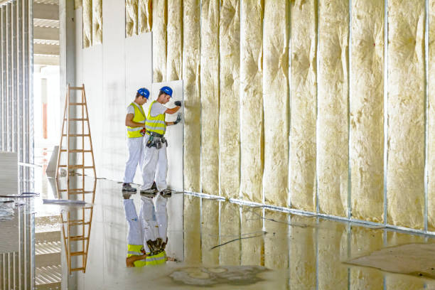Best Insulation Maintenance and Repair in Harbor Isle, NY
